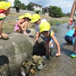 ことり組　高野川で川遊び　９月８日(金)