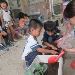 ひよこ組　川遊び　９月６日（水）