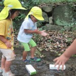 ひよこ組　川遊び　９月６日（水）