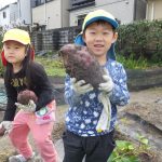 ひかり組　１０月２４日（火）〔おいもほり〕、２５日・２６日〔陶芸〕