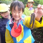 植物園へお散歩遠足　１０月１７日（火）