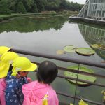 植物園へお散歩遠足　１０月１７日（火）