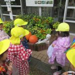 植物園へお散歩遠足　１０月１７日（火）