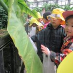 植物園へお散歩遠足　１０月１７日（火）