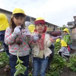 ひかり組　１０月２４日（火）〔おいもほり〕、２５日・２６日〔陶芸〕