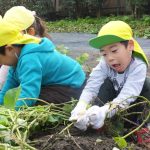 ひかり組　１０月２４日（火）〔おいもほり〕、２５日・２６日〔陶芸〕