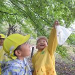 植物園へお散歩遠足　１０月１７日（火）