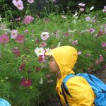 植物園へお散歩遠足　１０月１７日（火）