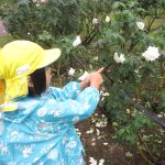 植物園へお散歩遠足　１０月１７日（火）