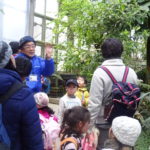 おやじの会　早春の植物園探索　２月１７日（土）