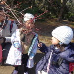 おやじの会　早春の植物園探索　２月１７日（土）