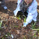 おやじの会　早春の植物園探索　２月１７日（土）