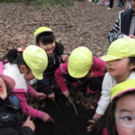 ことり組　下鴨神社お散歩　２月２１日（水）