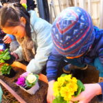 お花を買いに行きました　ひかり組　２月６日（火）