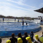 3月２日（金）ひかり組　さよなら遠足　京都水族館