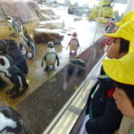 3月２日（金）ひかり組　さよなら遠足　京都水族館