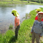 賀茂川お散歩　ことり・ひかり組　４月１９日（木）