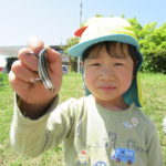 賀茂川お散歩　ことり・ひかり組　４月１９日（木）