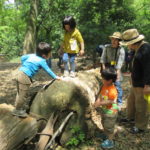 ひよこ組　4月２３日(月)　親子交流会