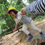 ひよこ・ことり組　下鴨神社へお散歩　５月１７日（木）