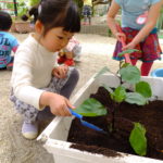 お散歩　ことり組　５月２２日（火）