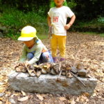 ひよこ・ことり組　下鴨神社へお散歩　５月１７日（木）