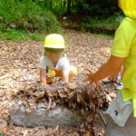 ひよこ・ことり組　下鴨神社へお散歩　５月１７日（木）