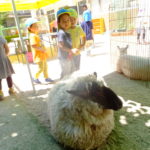 移動動物園　５月２１日（月）