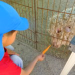 移動動物園　５月２１日（月）