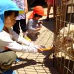 移動動物園　５月２１日（月）