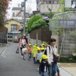 ひよこ組　お散歩（下鴨神社）　４月２７日（金）