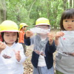 ひよこ組　お散歩（下鴨神社）　４月２７日（金）