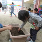 ひよこ組　野菜の種と苗植え　５月２日（水）