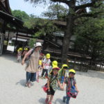 ひよこ・ことり組　下鴨神社へお散歩　５月１７日（木）