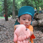 ひよこ・ことり組　下鴨神社へお散歩　５月１７日（木）