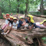 ひよこ・ことり組　下鴨神社へお散歩　５月１７日（木）