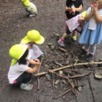 ひよこ組　下鴨神社へお散歩　６月２１日（木）