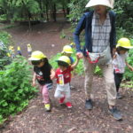 ひよこ組　下鴨神社へお散歩　６月２１日（木）