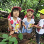 ひよこ組　下鴨神社へお散歩　６月２１日（木）