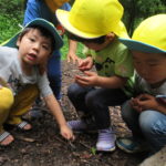 ひよこ組　下鴨神社へお散歩　６月２１日（木）