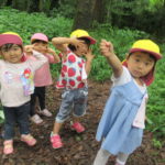 ひよこ組　下鴨神社へお散歩　６月２１日（木）