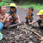 ひよこ組　下鴨神社へお散歩　６月２１日（木）