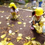 植物園へお散歩遠足　10月１２日（金）