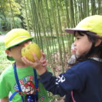 植物園へお散歩遠足　10月１２日（金）