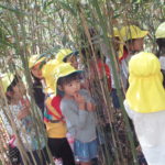 植物園へお散歩遠足　10月１２日（金）