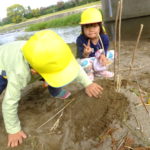 ことり組　お散歩・大根収穫