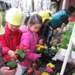 ひかり組　お花　お買物・苗植え　2019年2月15日（金）