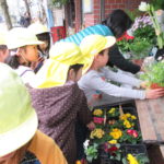 ひかり組　お花　お買物・苗植え　2019年2月15日（金）