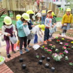 ひかり組　お花　お買物・苗植え　2019年2月15日（金）