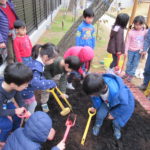 花壇作り　２月１４日(木）